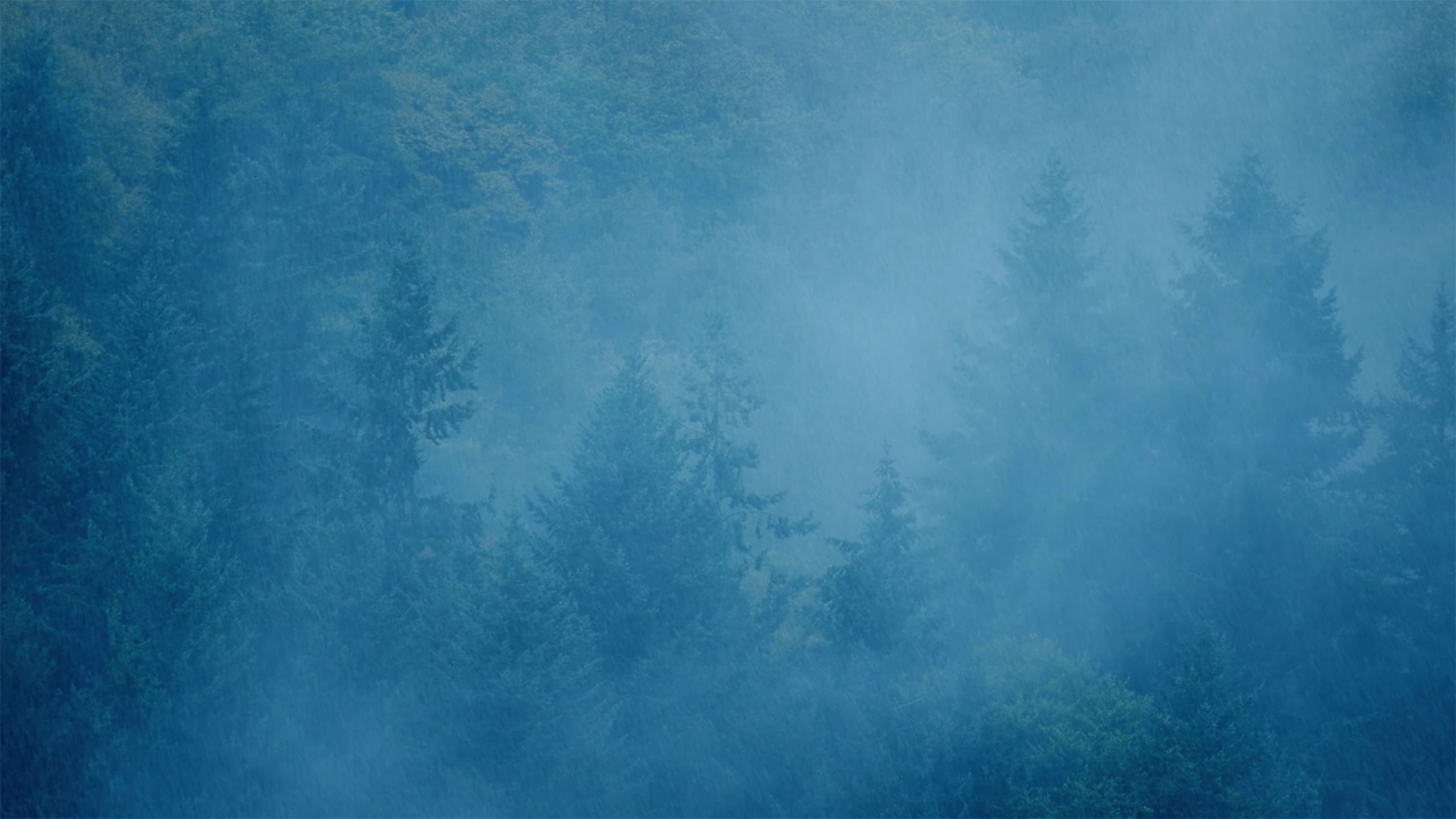 Image of mist travelling through trees